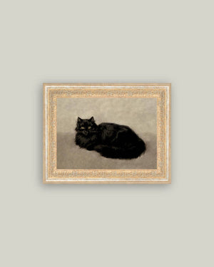 Black Cat Framed Antique Art