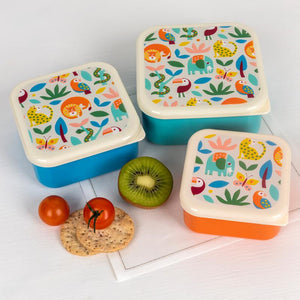 Snack Box  (set of 3)