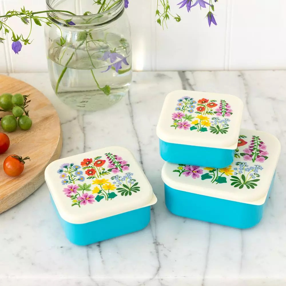 Snack Box  (set of 3)