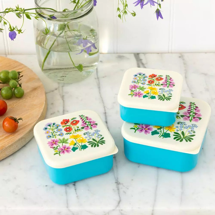 Snack Box  (set of 3)