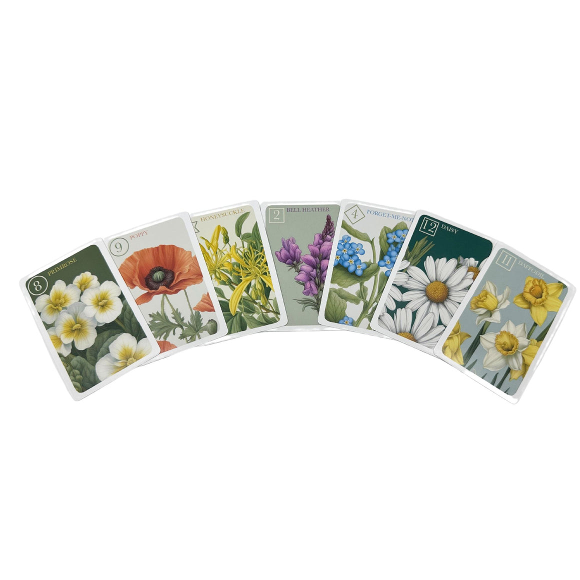 WIld Flower Sevens Card Game