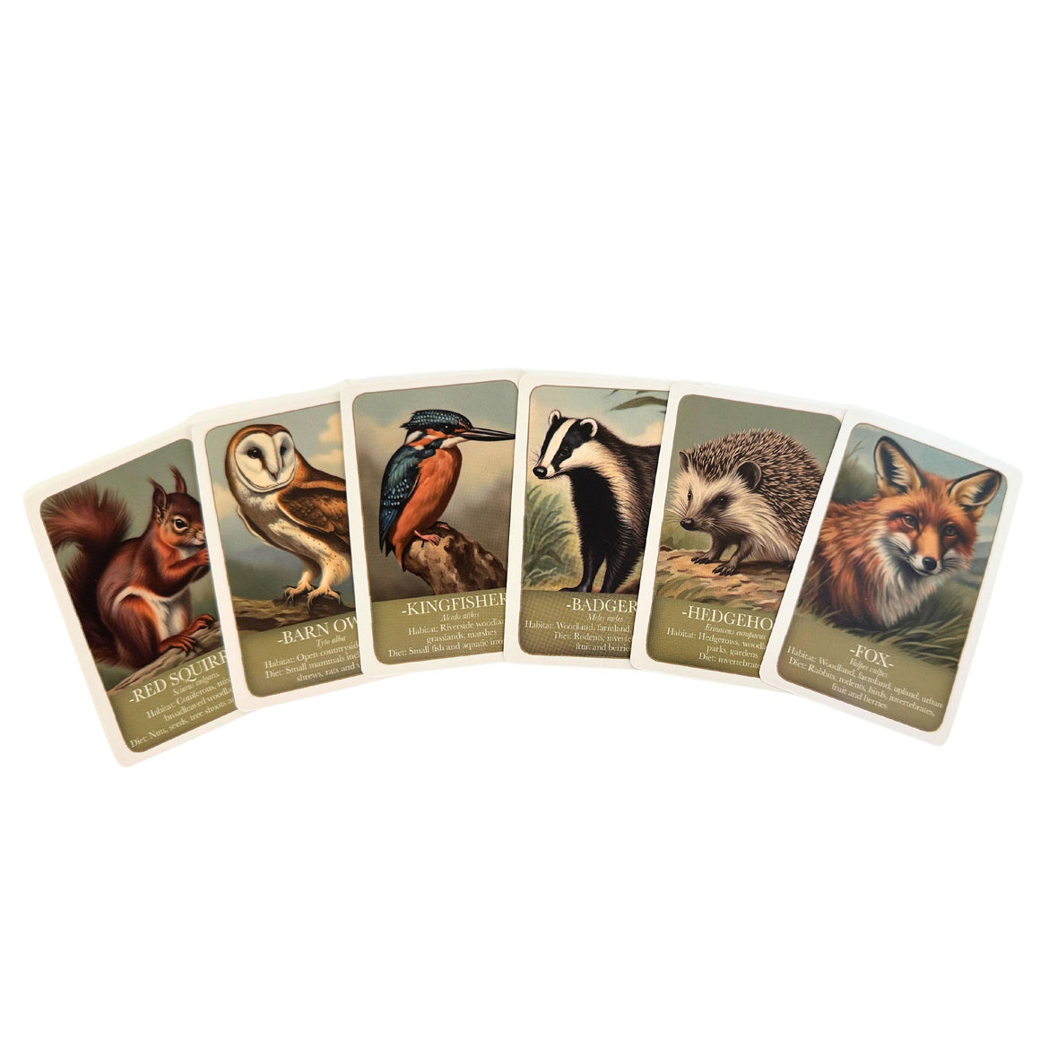 Wildlife Card Game