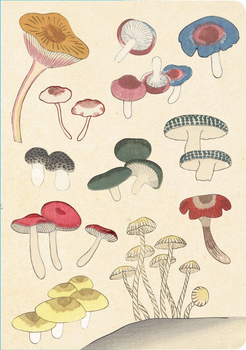 Healing Mushrooms  Journal