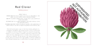 The Little Guide to Wildflowers