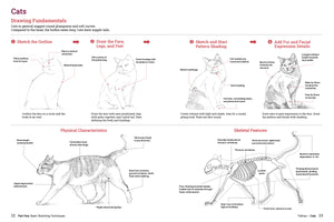 How To Draw Animals