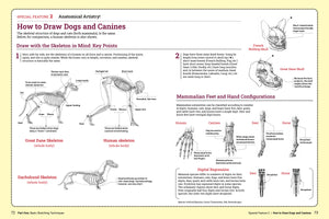 How To Draw Animals