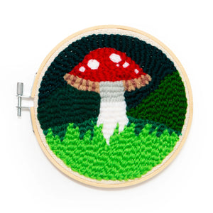 Punch Needle kit