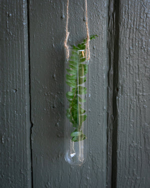 Hanging Glass Tube Vase