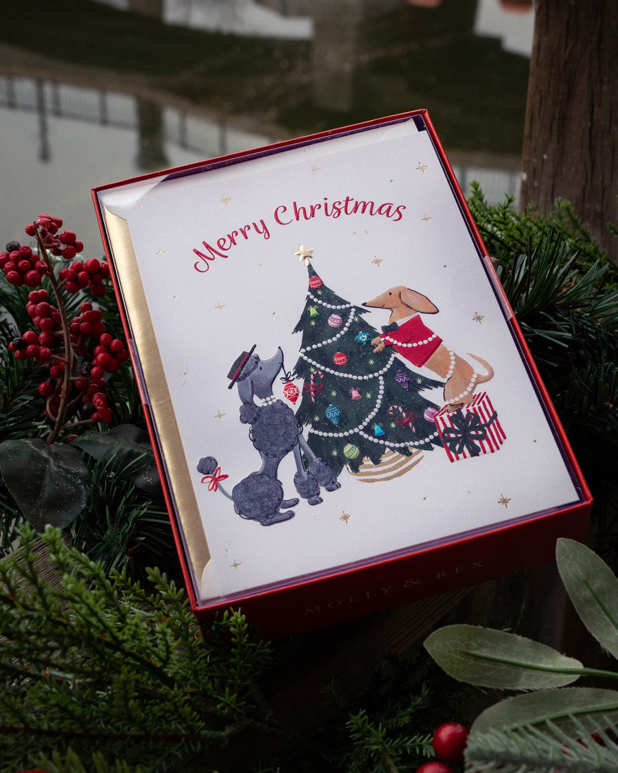 Boxed Xmas Cards