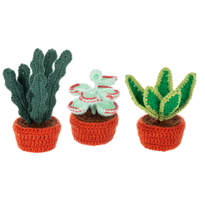 Crochet Succulent Plant