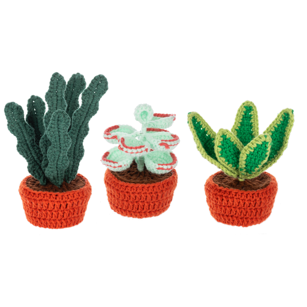 Crochet Succulent Plant