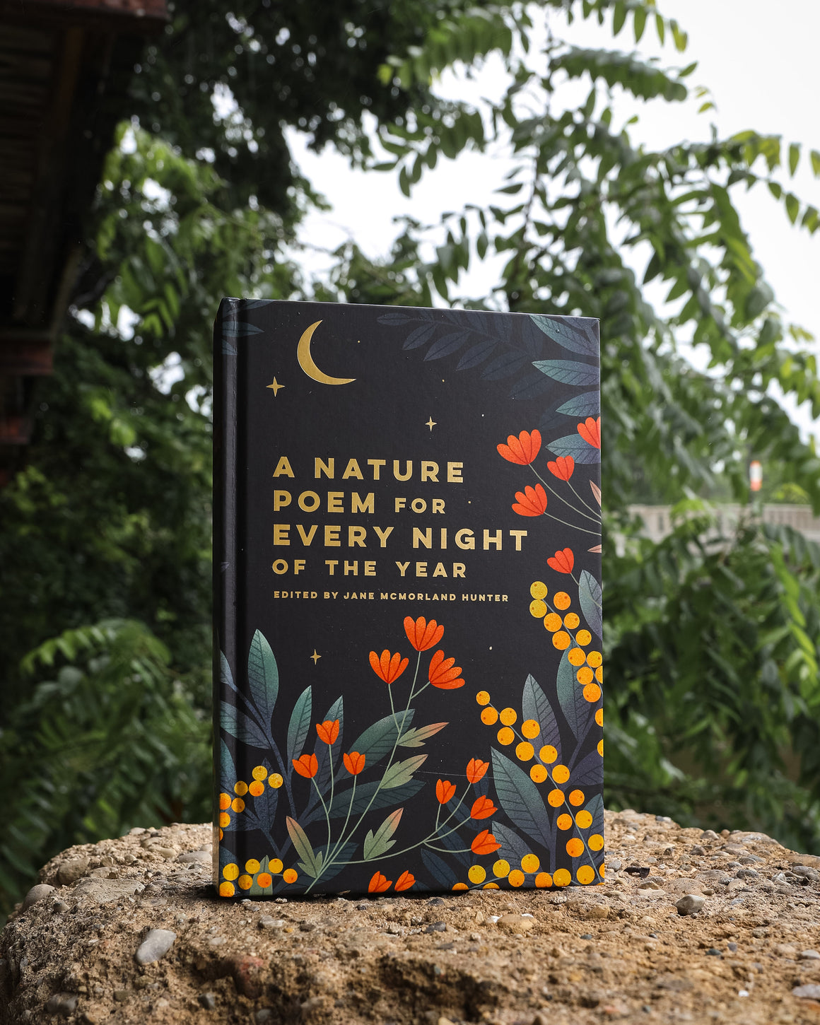A Nature Poem For Every Night