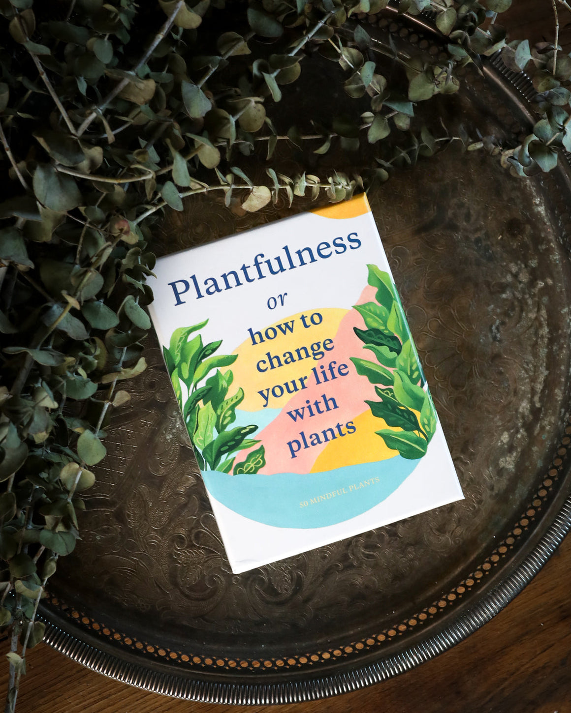 Plantfulness-Change Your Life