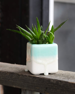 Dripping Glazed Square Pots