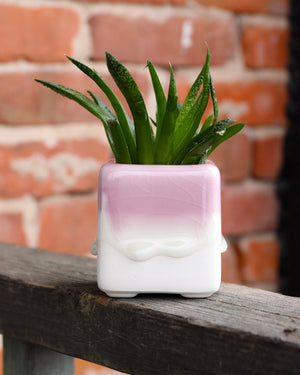Dripping Glazed Square Pots