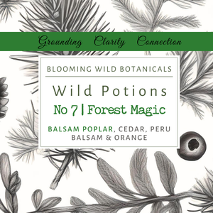 Forest Magic Aromatherapy  Potion No 7