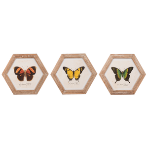 Butterfly In Hexagon Frame