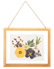 Floral Wall Decor in Floating Frame Horizontal