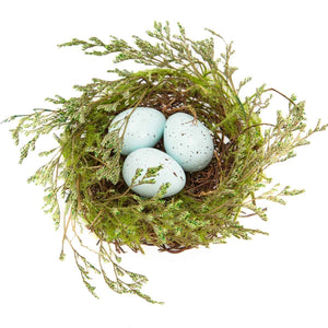 Robin Egg Nest Green/Light Blue   4.75"