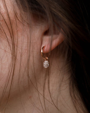 Chayenne  Crystal Hoop Earrings