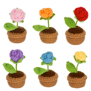 Crochet Mini Flower Pot ( Asst)