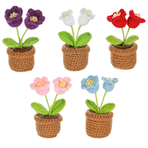 Crochet Mini Tulip Pot (Asst)