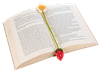 Crochet Bookmarks( Asst)