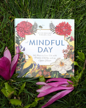 Mindful Day