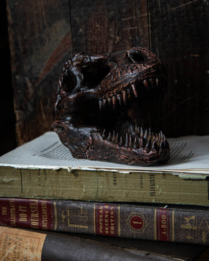 Dinosaur T-Rex Mini Skull
