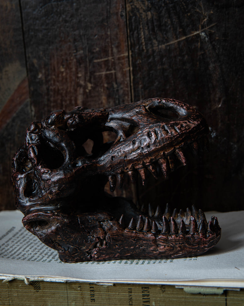 Dinosaur T-Rex Mini Skull